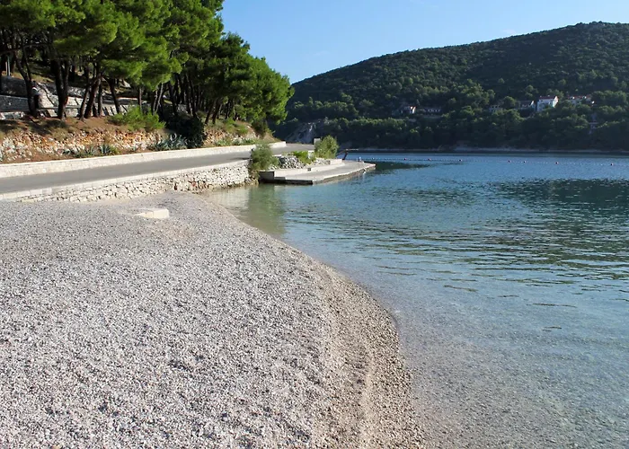Seaside House Pucisca, Brac - 14003 Holiday home