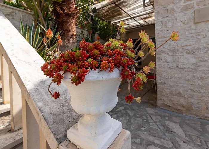 Seaside House Pucisca, Brac - 14003 Holiday home